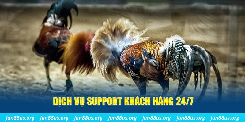 gemwin ÁT CHỦ BÀI GIÀNH LẤY ZHUANG NIUNIU ( XEM 4 LÁ )