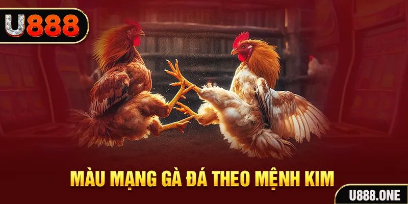 gemwin Cỡ bảy