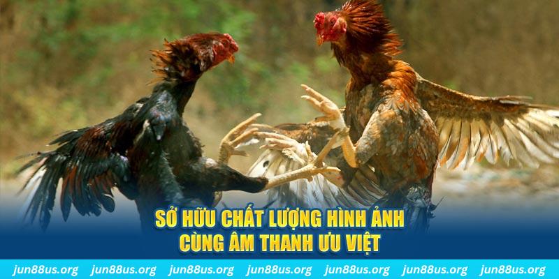 gemwin PP Điện Tử