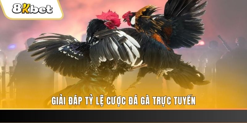 gemwin xổ số đài miền trung