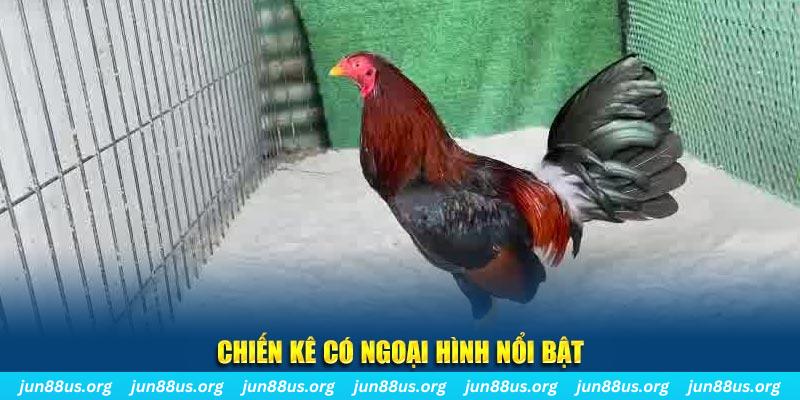 gemwin game nổ hũ là gì