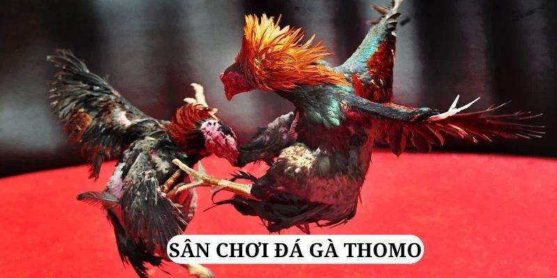 gemwin trực tiếp xổ số miền bắc
